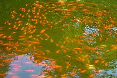 《龙魂：魔都异闻》登陆Steam 龙魂收集RPG