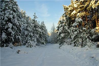 Xbox工作室负责人：希望使用AI来进行游戏测试工作